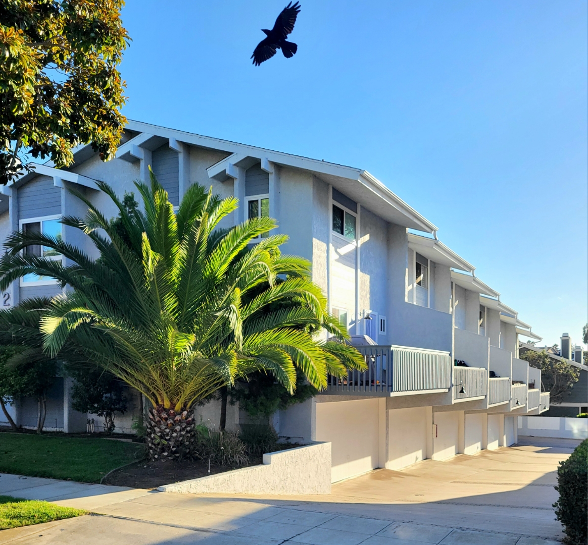 239 N Juanita Ave